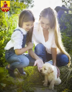 Mehr über den Artikel erfahren Labrador Züchter und Welpen in Lüdenscheid